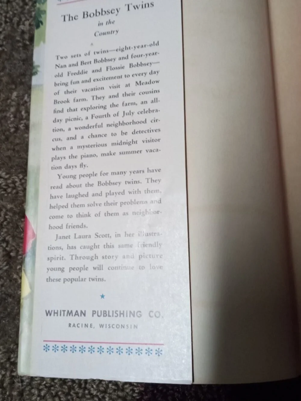 Vintage Bobbsey Twins Books